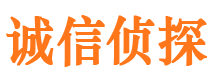 湖滨侦探调查公司